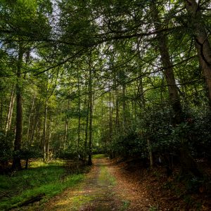 You need to check out the legendary trails connecting Chief Logan and Twin Falls