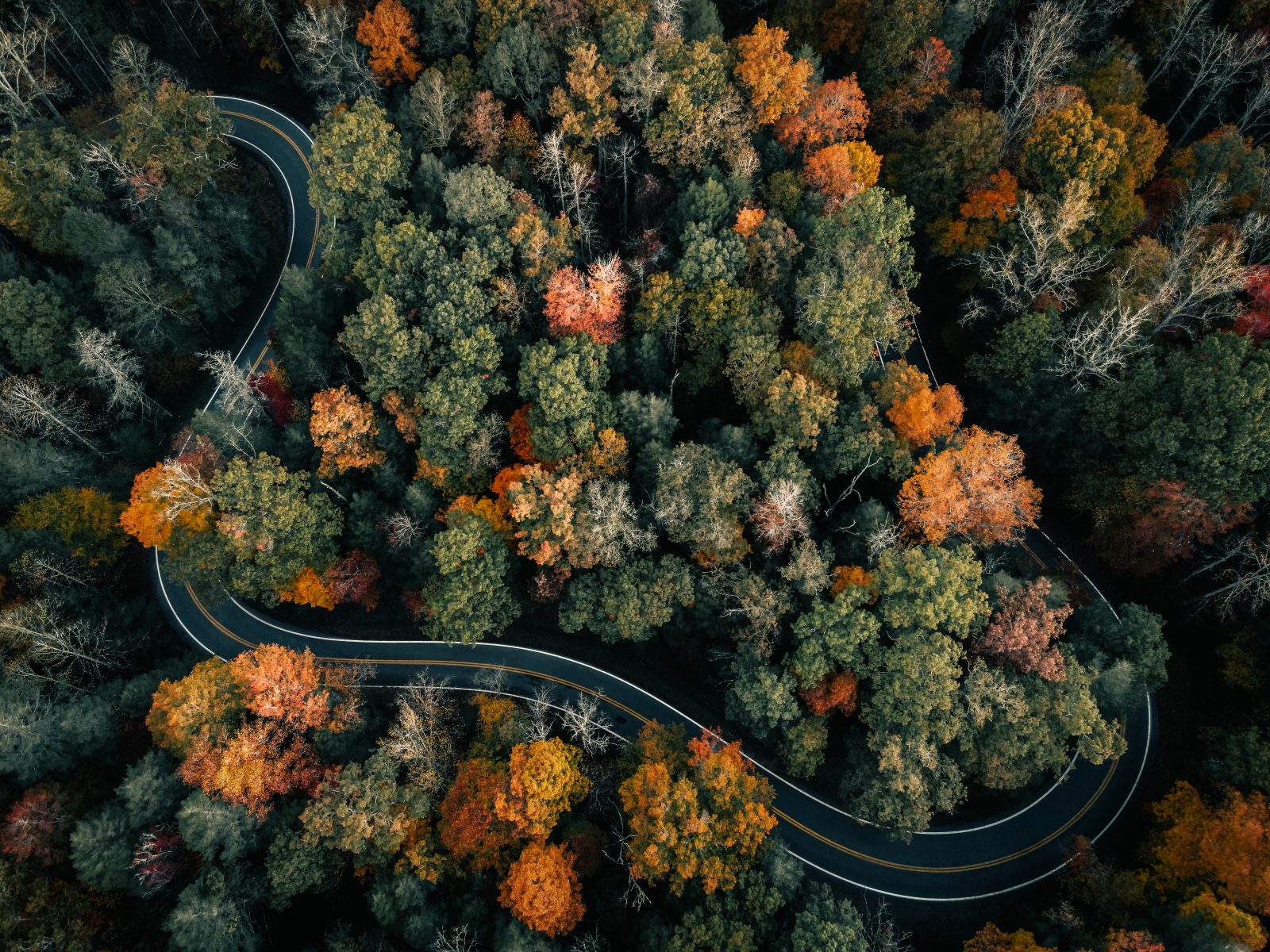 Take The WV State Park Adventure Challenge West Virginia State Parks   DJI 0038 1600x1200 