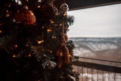 Give the Gift of Adventure and Memories with a West Virginia State Parks Gift Card