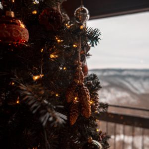 Give the Gift of Adventure and Memories with a West Virginia State Parks Gift Card