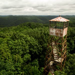 Your vacation guide for off-road adventures at Cabwaylingo State Forest