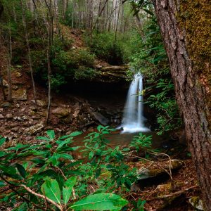 Twin Falls Resort Vacation Guide: What You Need to Know to Plan a Trip