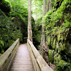 Day Trip Guide to West Virginia State Parks