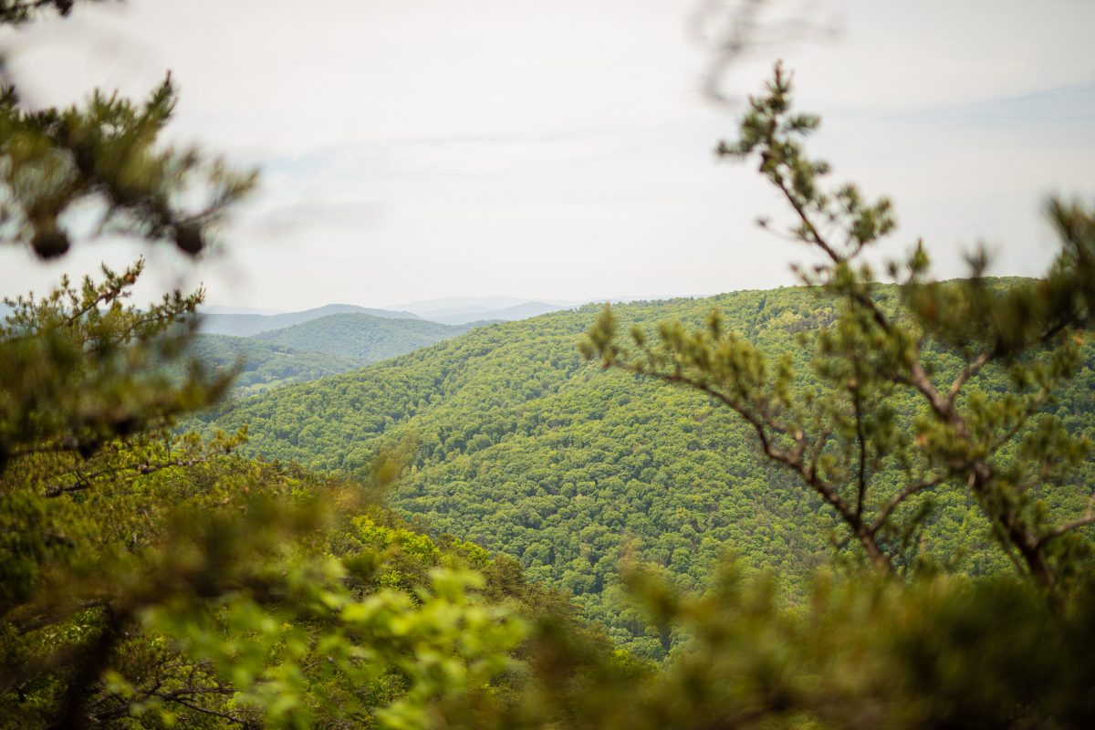 Your guide to outdoor adventures at Lost River State Park - West 