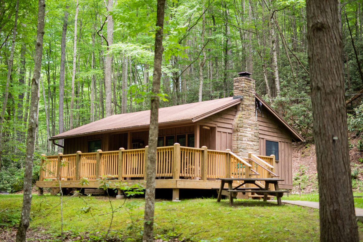 Get lost in nature at West Virginia’s largest state park - West ...