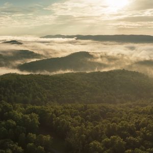 Get lost in nature at West Virginia’s largest state park