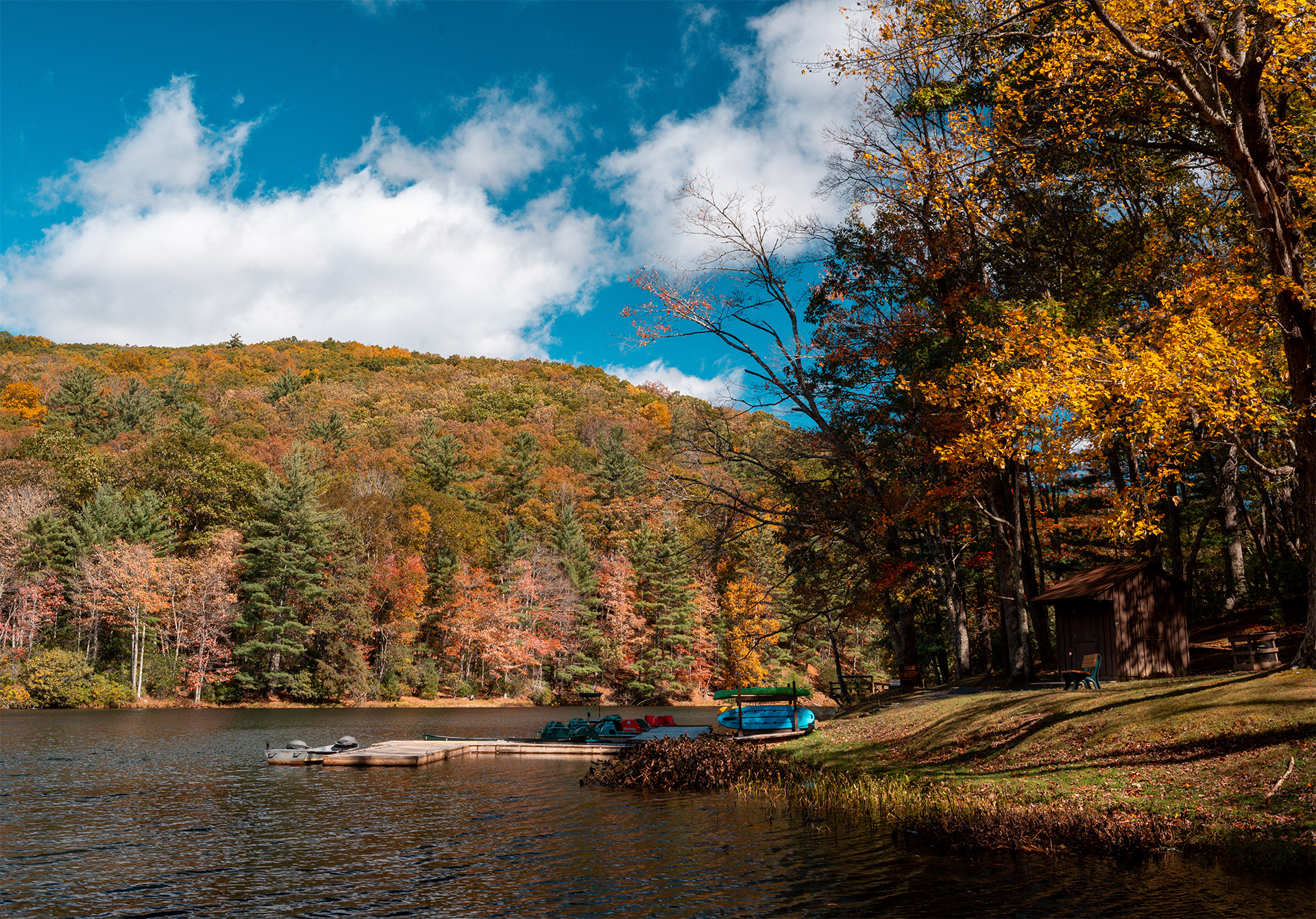 5 WV State Parks to Visit This Fall if You Want to Catch a Trout - West  Virginia State Parks