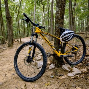 Mountain biking adventures at West Virginia state parks and forests