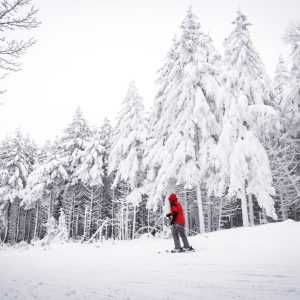From skiing to sledding, plan your snowy adventure at West Virginia state parks