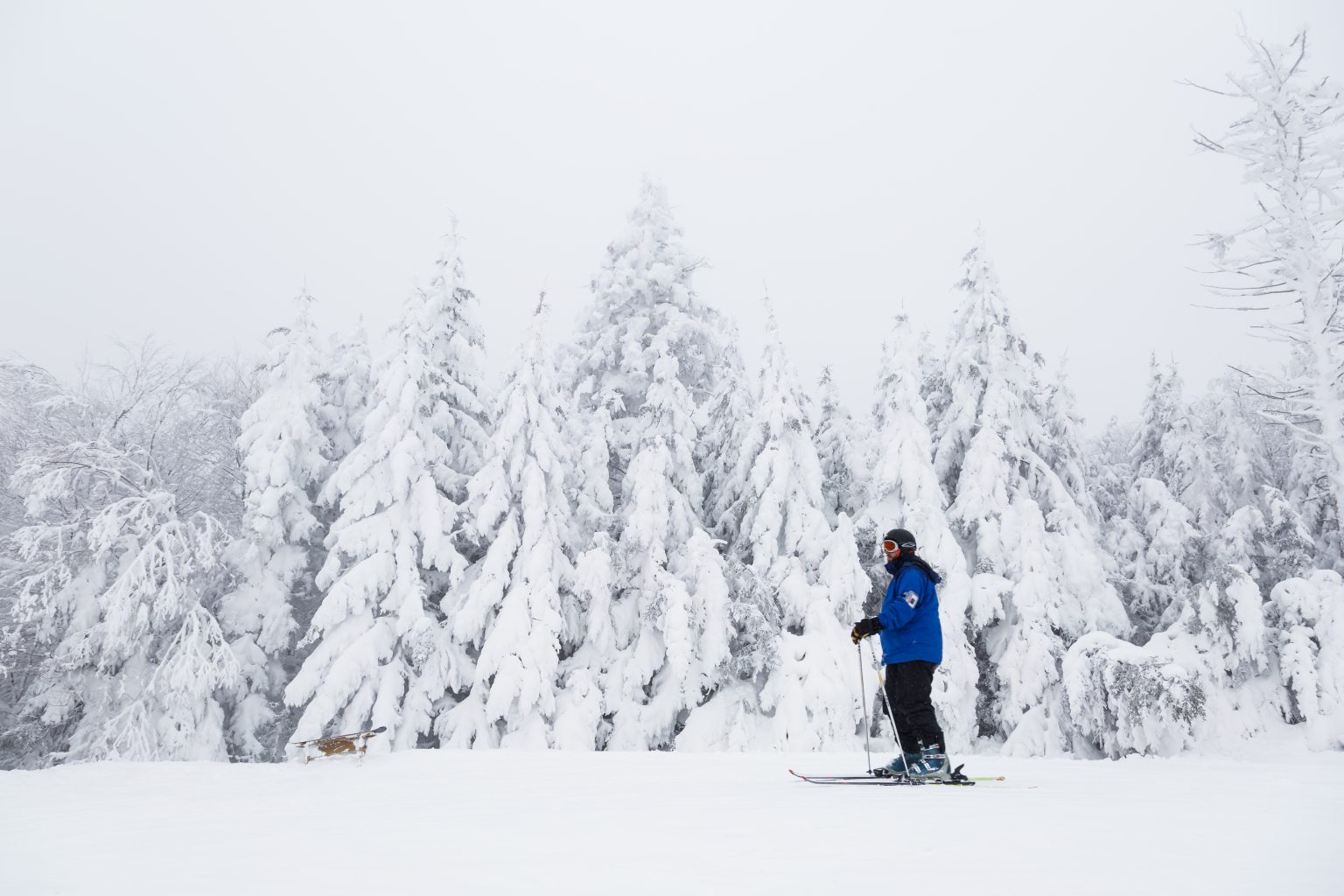 From skiing to sledding, plan your snowy adventure at West Virginia ...