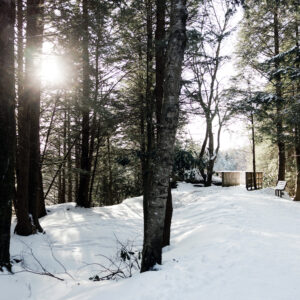 5 WV State Parks that will make you fall in love with the outdoors