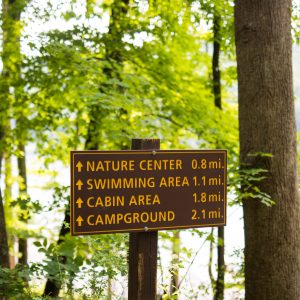 Have fun while learning about nature at WV state parks