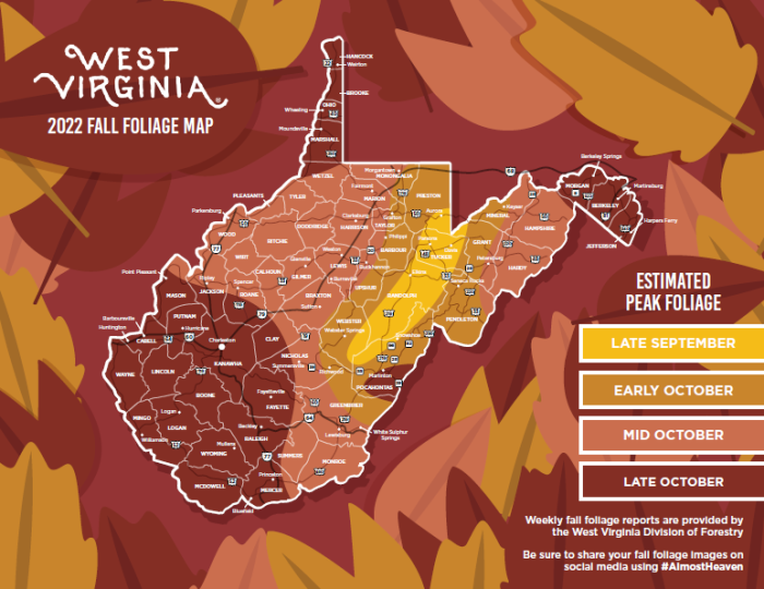 Experience fall in WV State parks West Virginia State Parks West