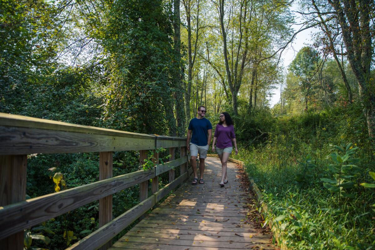 West Virginia State Parks And Forests Adopt A Trail Program West   DSC02241 2100x1400 130b4140 D9f1 4e66 B780 Baebf6ab097a 1200x800 