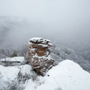 Your Guide to the Perfect Winter Trip at a State Park
