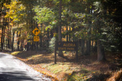 Roadside view of Audra State Park Sign during the summer.