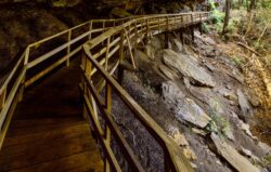 Hiker's point of view walking on boardwalk of Alum Creek and Cave Trail during the summer.