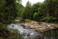 Ground-level view of a rocky section of Middle Fork River in Audra State Park during the summer.