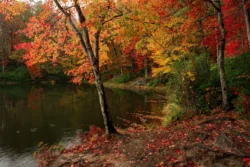 View of Babcock State Park from the side of a body of water during the fall.