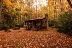 Medium shot of a cabin in the woods at Babcock State Park during the fall with peak foliage.