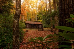 Long shot of a cabin in the woods at Babcock State Park with peak fall foliage.