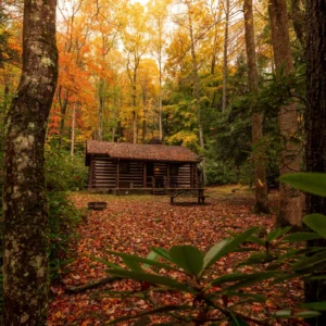 Long shot of a cabin in the woods at Babcock State Park with peak fall foliage.