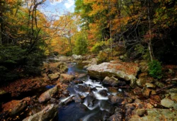 Wide shot of a rocky section of Glade Creek at Babcock State Park during the fall.
