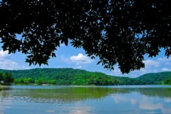 Wide shot of Beech Fork Lake during the summer.