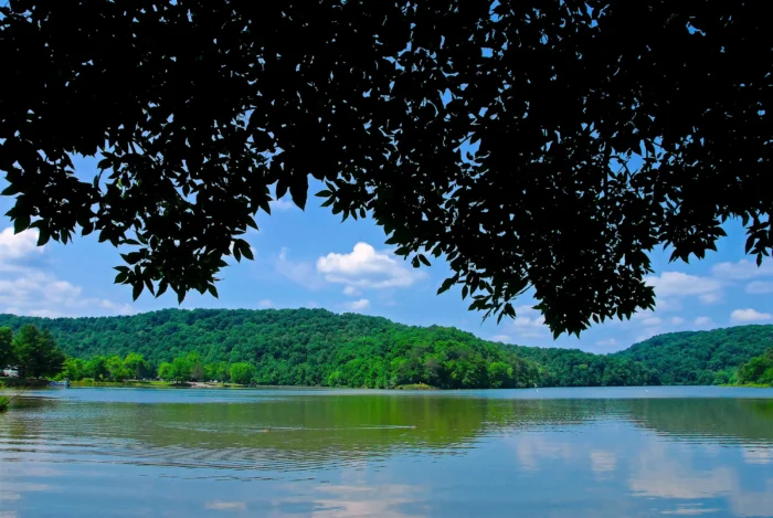 Wide shot of Beech Fork Lake during the summer.