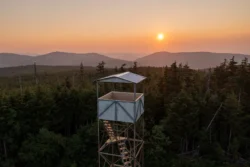 Overhead shot of the fire tower at Cass Scenic Railroad State Park.