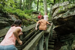 Parents with their kids running up wooden steps at Beartown State Park during the summer.