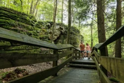 Family walking on the boardwalk at Beartown State Park during the summer.