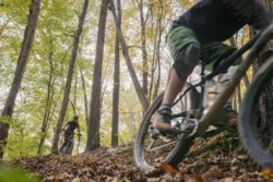 Close-up of the side of a mountain biker's bike riding through the woods during the fall.