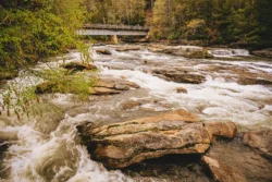 Rocky section of the Middle Fork River during the summer at Audra State Park.