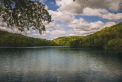 Wide shot of Beech Fork Lake during late summer or early fall.