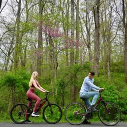 A man and a woman both biking on a blacktop trail in the woods during the summer.