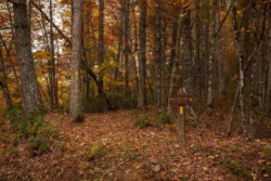Sign leading to the Allegheny Trail in fall during peak foliage.