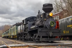 Train at Cass Scenic Railroad State Park during the winter.