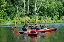 Voyagers making their way along the lake on kayaks during the summer in North Bend State Park.