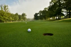 Two golf balls on the green near the hole.