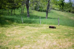 Vacant campsite with a campfire ring captured in the summertime at Lost River State Park.