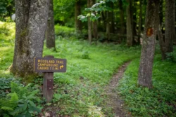 Informative marker leading toward the campground in Tygart Lake State Park.