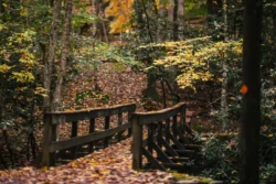 Bridge crossing in Holly River State Park leading to the High Rock Trail.