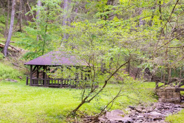 Angled view of an area in Lee Sulphur Springs with a gazebo captured in the summertime.