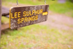 Up-close view of directing sign to Lee Sulphur Springs.