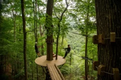 People participating in a canopy tour at Pipestem Resort