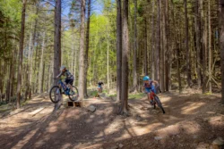 Action shot of two mountain bikers riding down a hill at Snowshoe Mountain Resort during the summer.