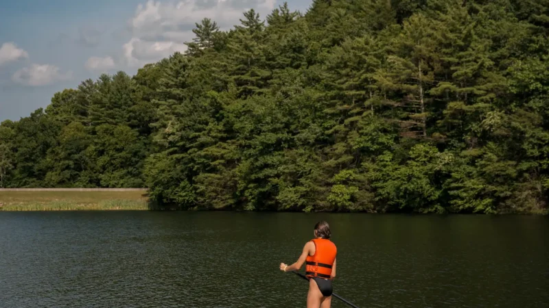 Paddleboarder on the water