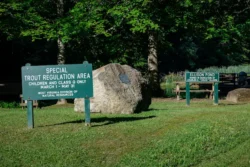 Sign marking a special trout regulation area for children and class Q fishermen only between March 1st and May 31st.