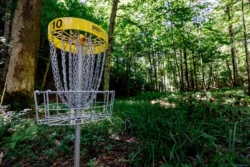 Angled shot of recreational disc golf course in Kanawha State Forest during the summer.